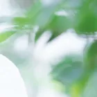 紫外線対策